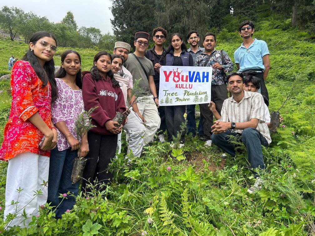 tree plantation youvah